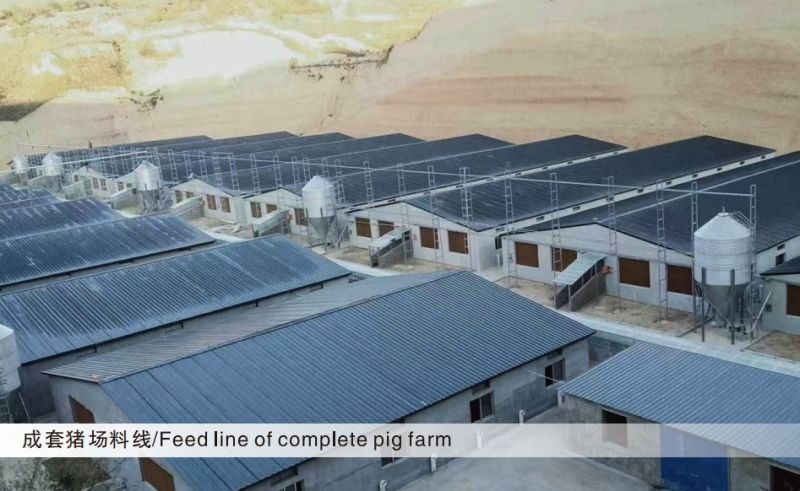 成套豬場(chǎng)料線